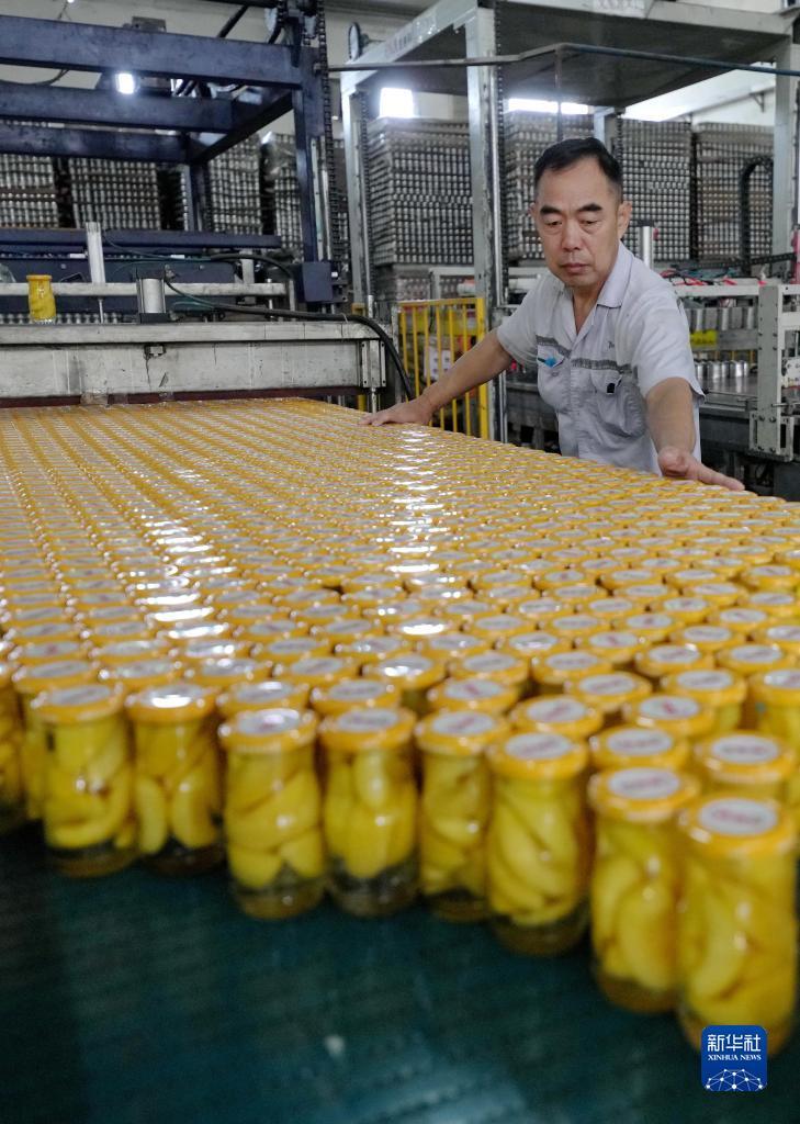 威尼斯游戏玩法